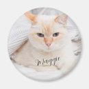 Search for pet magnets Trendy