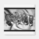 Search for rottweiler magnets Puppies