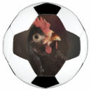 Search for funny soccer balls Pet