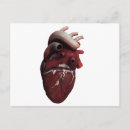 Search for three dimensional postcards 3d
