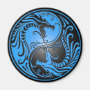 Search for black dragons magnets Yin yang