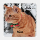 Search for crazy cat lady christmas tree decorations Pet