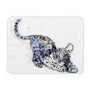 Search for wildcat magnets Cute