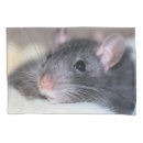 Search for rat pillowcases Animal