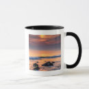 Search for new jersey mugs Cape may