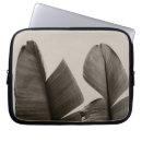 Search for banana tree electronics Nature