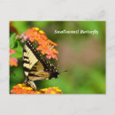 Search for lantana postcards Flower