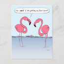 Search for cartoon flamingo postcards Florida