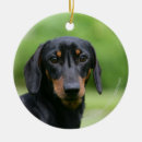 Search for miniature dachshund christmas tree decorations Black and tan