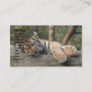 Search for beasts business cards Animal