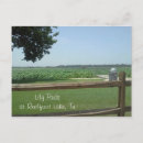 Search for lily pad postcards Beautiful
