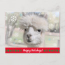 Search for alpaca postcards Funny