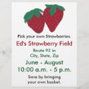 Search for strawberries flyers Strawberry