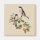 Search for vintage bird magnets Elegant
