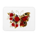 Search for peacock rectangular magnets Butterfly