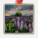 Search for meadows in christmas tree decorations Landscape