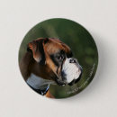 Search for profiling badges Boxer