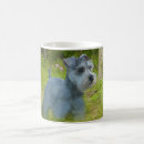 Search for miniature schnauzer mugs Terrier