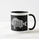 Search for sheepshead Fish