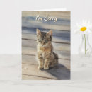 Search for cat sorry cards Apology
