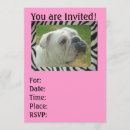 Search for veterinarian invitations Party
