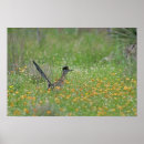 Search for rolf nussbaumer art Southern