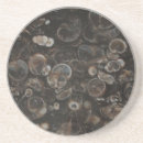 Search for polished coasters Rocks