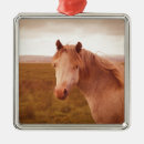 Search for pony christmas tree decorations Wild