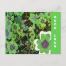 Search for good luck charm postcards Shamrock
