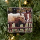 Search for stallion christmas tree decorations Equestrian