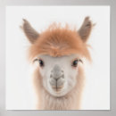 Search for llama nursery art Baby