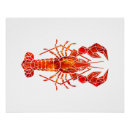 Search for seafood boil posters Lobster bake