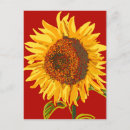 Search for penpalling postcards Friend