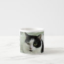 Search for white espresso mugs Kitty