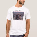 Search for texas longhorn tshirts Cattle