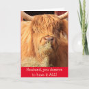 Search for scottish birthday Cow
