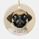 Search for pug christmas tree decorations Dog