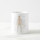 Search for nervous system Human