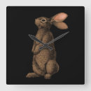 Search for rabbits clocks Cute