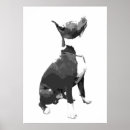 Search for transparent posters Trendy