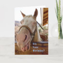 Search for animals funny horse birthday cards Western