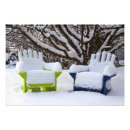 Search for adirondack chair posters Usa