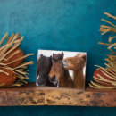 Search for danita delimont plaques Winter