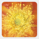Search for sonora stickers Flora
