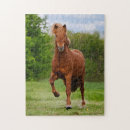 Search for pony puzzles Cute