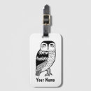Search for white owl Raptor