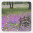 Search for bonnet stickers Wildflower