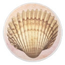 Search for seashell knobs and pulls Modern