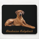 Search for ridgeback electronics Rhodesian