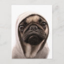 Search for hoodie postcards Puppy